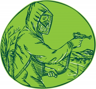 Illustration for article titled Make Certain You Obtain Support Quick In Order To Get Rid Of Termites